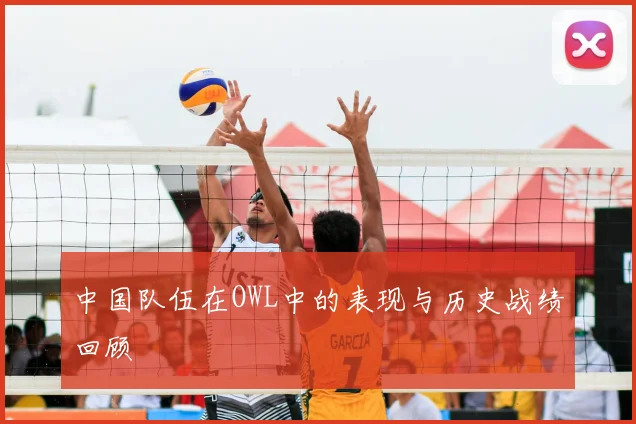 中国队伍在OWL中的表现与历史战绩回顾