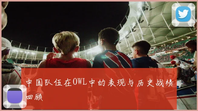 中国队伍在OWL中的表现与历史战绩回顾