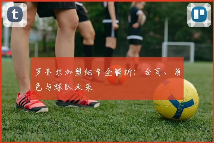 罗齐尔加盟细节全解析：合同、角色与球队未来